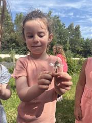 Butterflies!