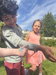 Butterflies!