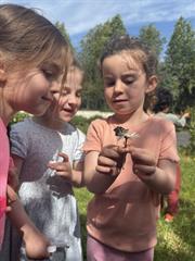 Butterflies!