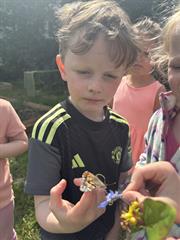 Butterflies!