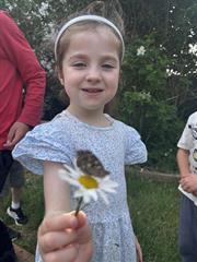 Butterflies!