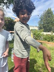 Butterflies!
