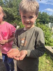 Butterflies!