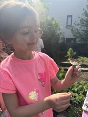 Butterflies!
