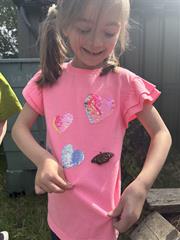 Butterflies!