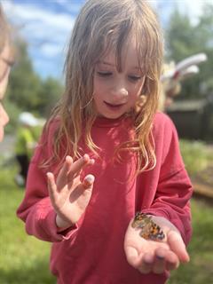 Butterflies!