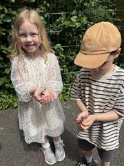 Butterfly Release