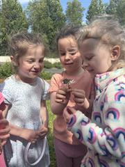 Butterflies!