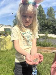 Butterflies!