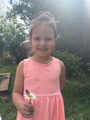 Butterflies!