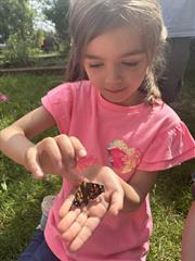 Butterflies!