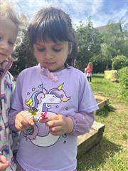 Butterflies!