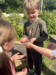 Butterflies!