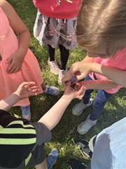 Butterflies!