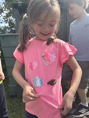 Butterflies!
