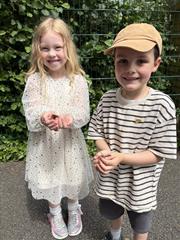 Butterfly Release