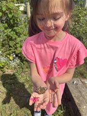 Butterflies!