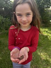 Butterflies!