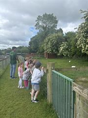Kate's Class in Glenroe Farm!
