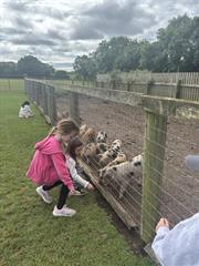 Kate's Class in Glenroe Farm!