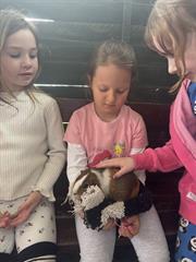 Kate's Class in Glenroe Farm!
