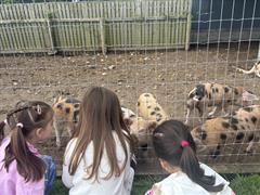 Kate's Class in Glenroe Farm!