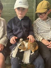 Kate's Class in Glenroe Farm!