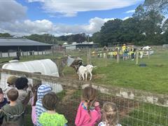 Kate's Class in Glenroe Farm!