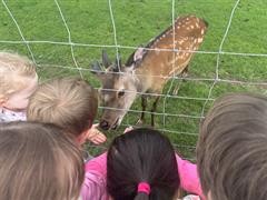 Kate's Class in Glenroe Farm!