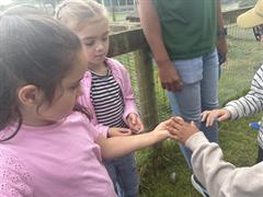 Kate's Class in Glenroe Farm!