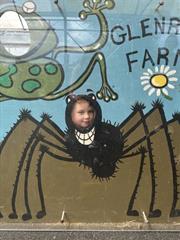 Kate's Class in Glenroe Farm!