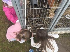 Kate's Class in Glenroe Farm!