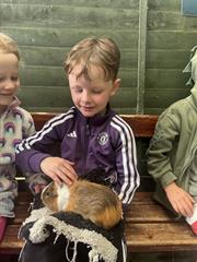 Kate's Class in Glenroe Farm!