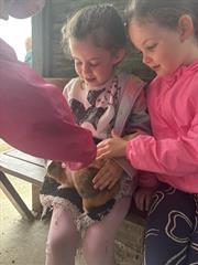 Kate's Class in Glenroe Farm!