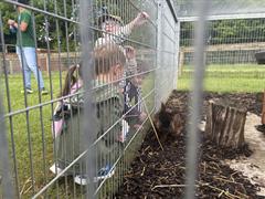 Kate's Class in Glenroe Farm!