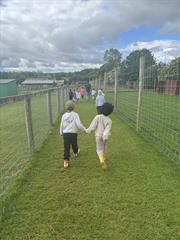 Kate's Class in Glenroe Farm!