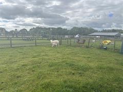 Kate's Class in Glenroe Farm!