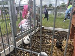 Kate's Class in Glenroe Farm!