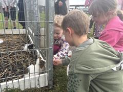 Kate's Class in Glenroe Farm!