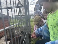 Kate's Class in Glenroe Farm!