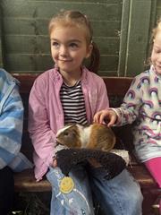 Kate's Class in Glenroe Farm!