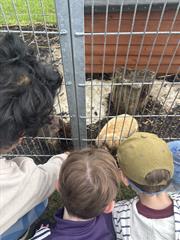 Kate's Class in Glenroe Farm!
