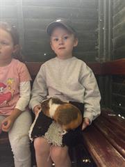 Kate's Class in Glenroe Farm!