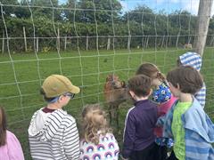 Kate's Class in Glenroe Farm!