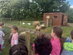 Kate's Class in Glenroe Farm!
