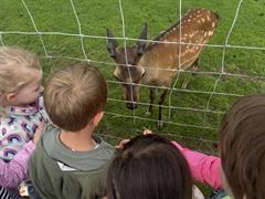 Kate's Class in Glenroe Farm!