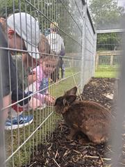 Kate's Class in Glenroe Farm!