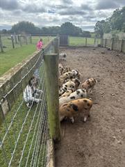 Kate's Class in Glenroe Farm!