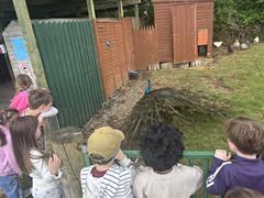 Kate's Class in Glenroe Farm!
