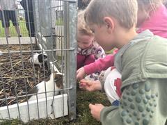 Kate's Class in Glenroe Farm!